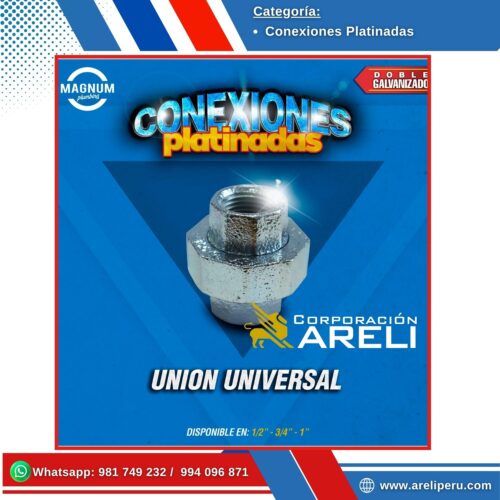 CONEXIONES PLATINADAS