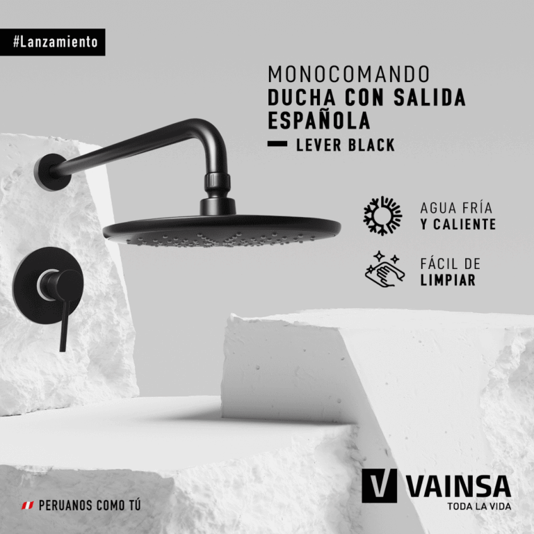 VAINSA (1)