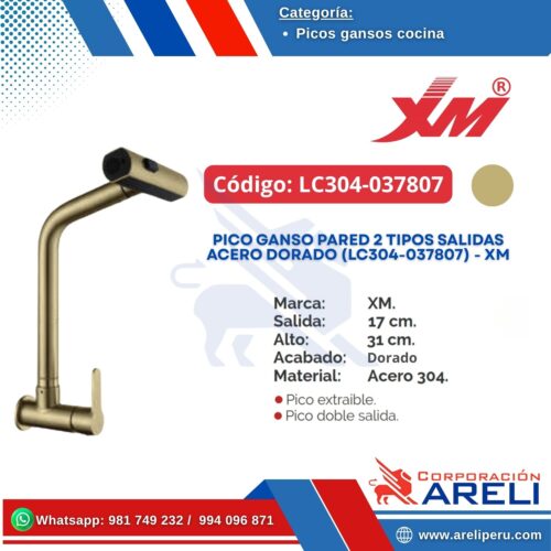 PICO GANSO PARED 2 TIPOS SALIDAS ACERO DORADO (LC304-037807) - XM